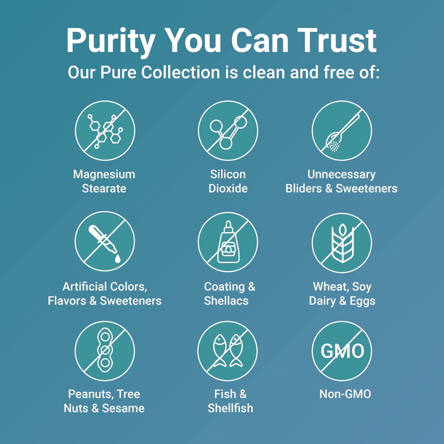 VitaPulse® Turmeric Curcumin
